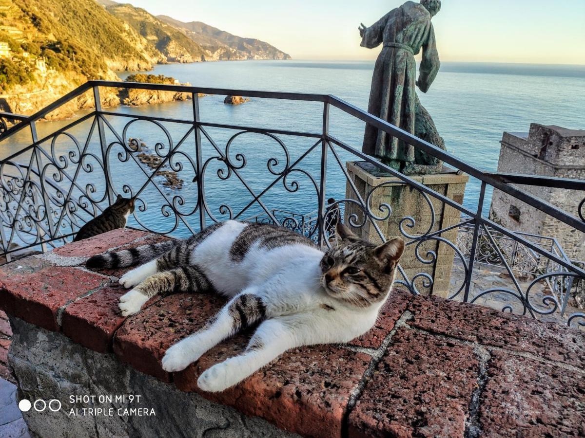 Via Verdi 5, Gli Affreschi Monterosso al Mare Exteriör bild