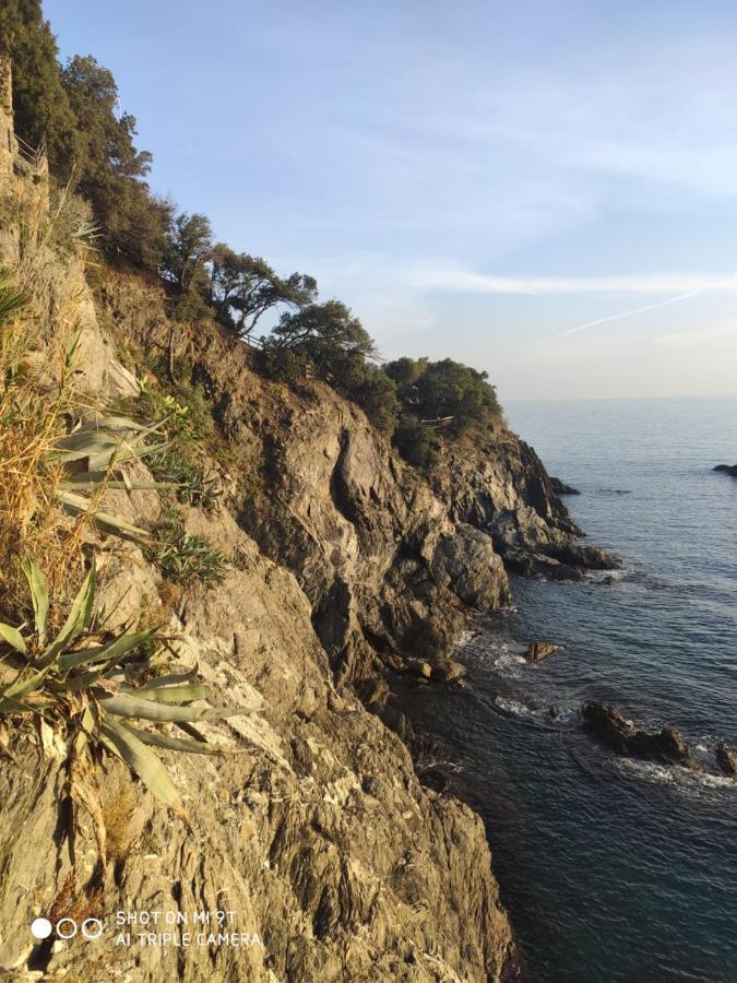 Via Verdi 5, Gli Affreschi Monterosso al Mare Exteriör bild